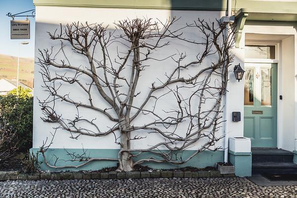 Llety Brynawel Guest House Pennal 외부 사진